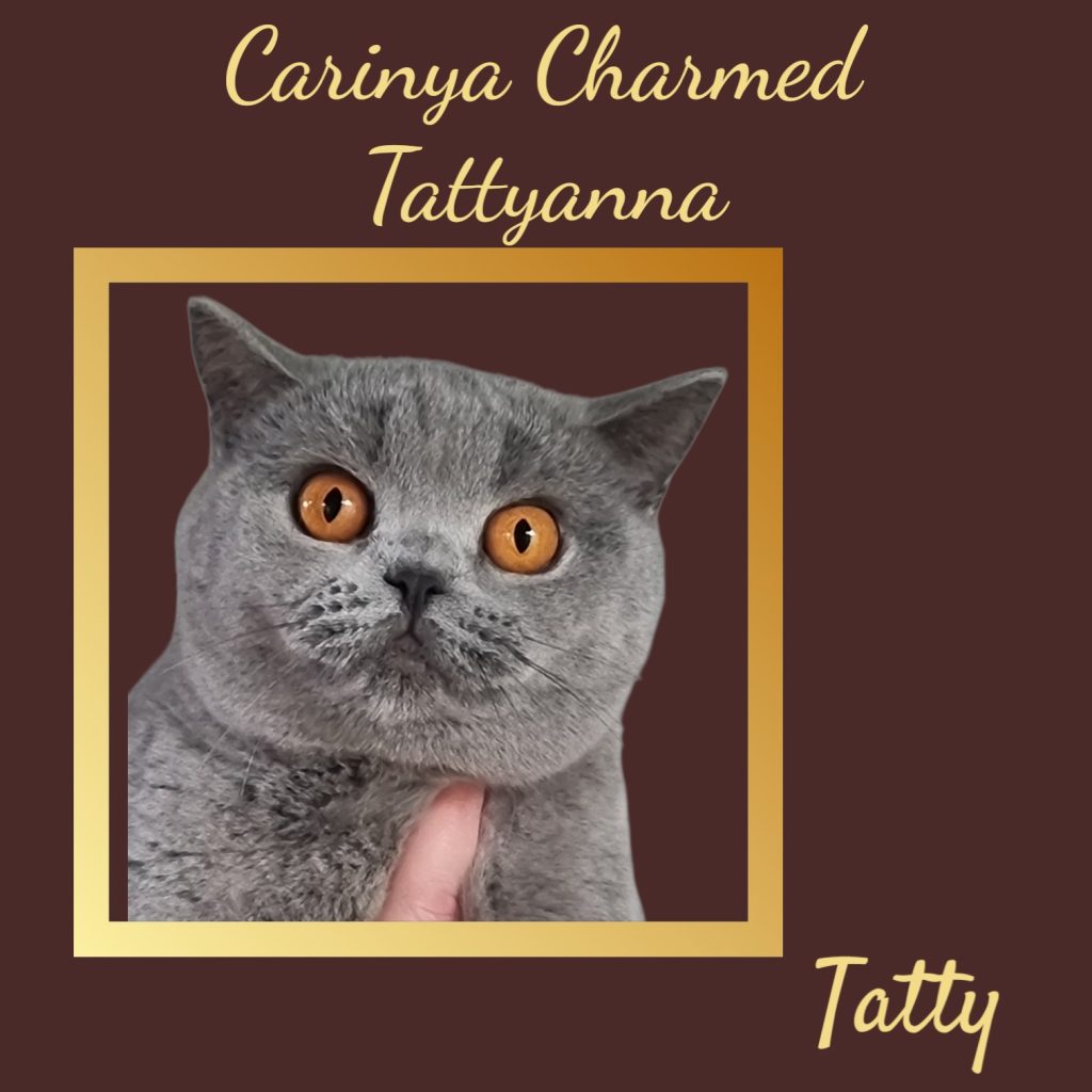 Profile - Tattyanna